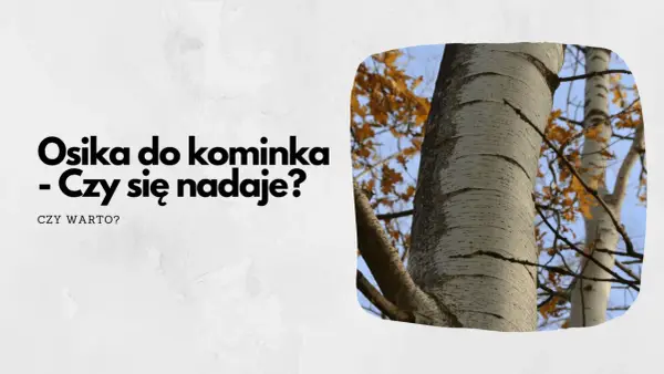 Osika w kominku - czy warto palić? Zalety i wady drewna